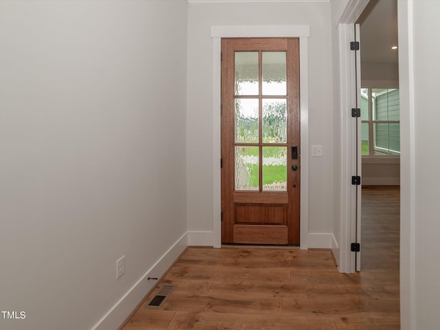 16 Autumn Breeze Ct, Angier, NC 27501 - entryway with wood finished floors, baseboards, and healthy amount of natural light