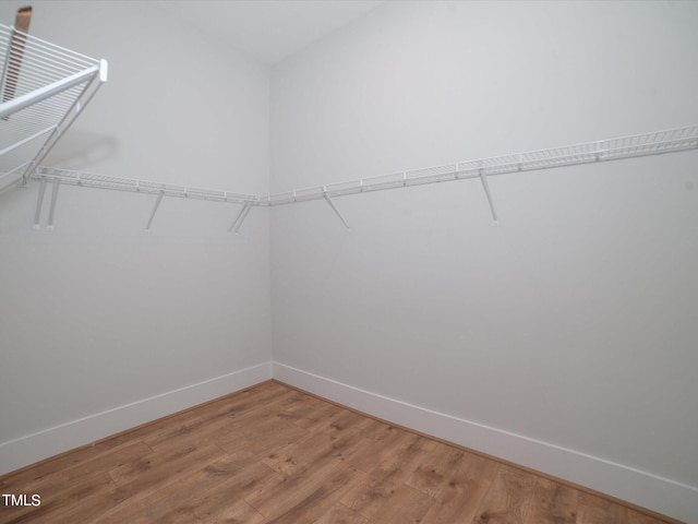 16 Autumn Breeze Ct, Angier, NC 27501 - walk in closet with light wood-style floors