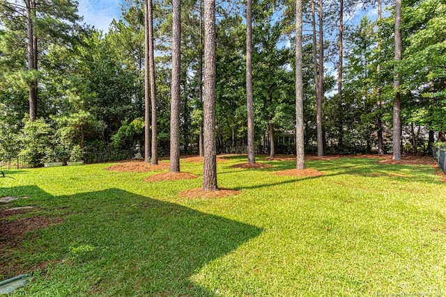 367 Falling Water Rd, Spring Lake, NC 28390 - photo 38