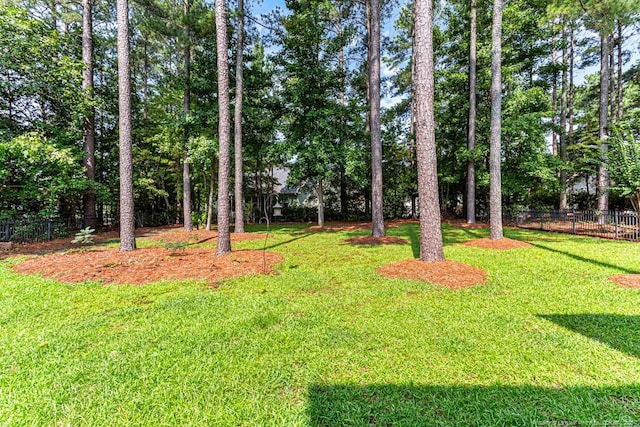 367 Falling Water Rd, Spring Lake, NC 28390 - photo 39
