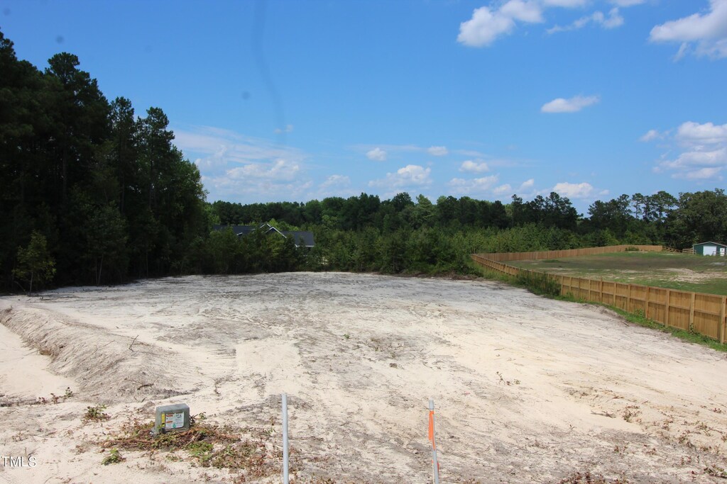 14 Remington Hill Dr, Bunnlevel, NC 28323 - photo 2