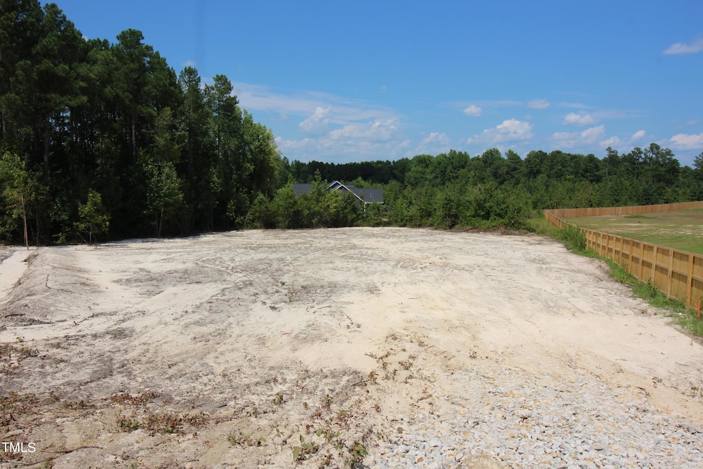 14 Remington Hill Dr, Bunnlevel, NC 28323 - photo 1