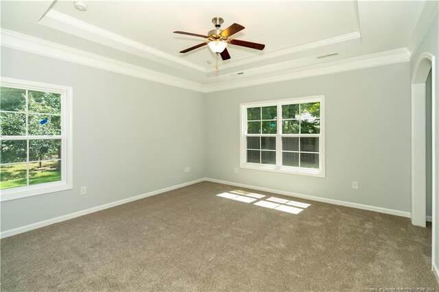 carpeted spare room featuring ceiling fan, a tray ceiling, and a wealth of natural light