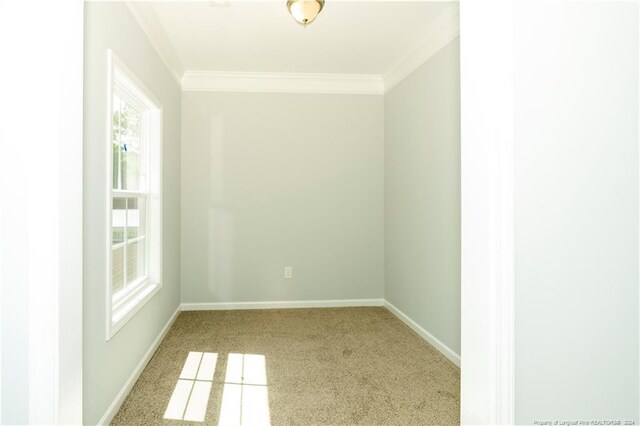 carpeted spare room featuring ornamental molding