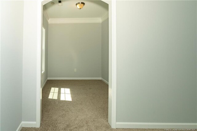 spare room featuring carpet flooring and crown molding