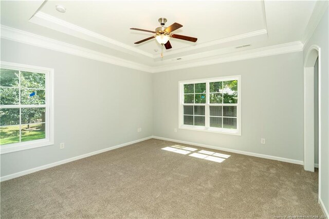 spare room featuring ceiling fan, crown molding, carpet floors, and a tray ceiling