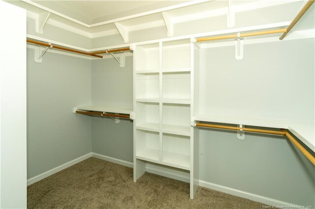 walk in closet featuring carpet flooring