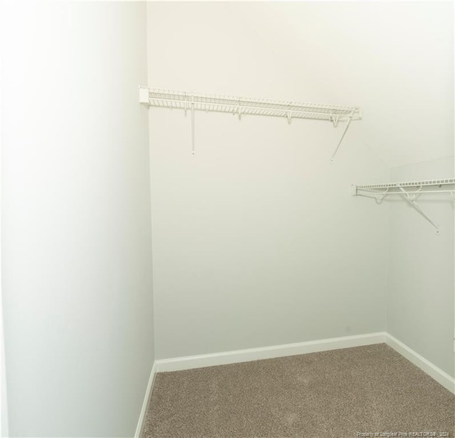 spacious closet with carpet flooring