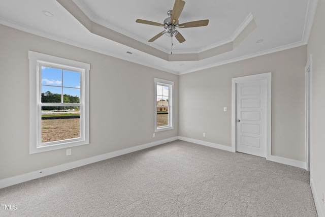 unfurnished room with plenty of natural light, carpet, and a raised ceiling