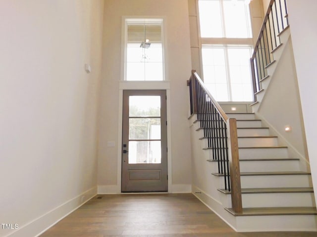 entrance foyer with a high ceiling and wood-type flooring