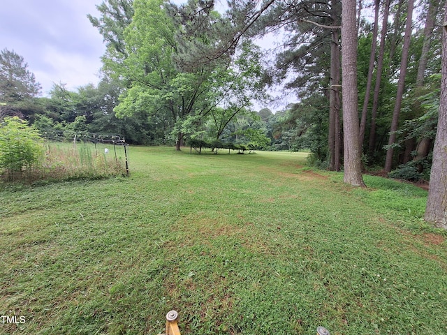 1917 New Hill Olive Chapel Rd, New Hill, NC 27562 - view of green lawn with a forest view