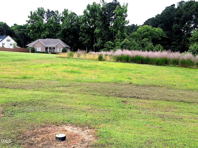 1917 New Hill Olive Chapel Rd, New Hill, NC 27562 - view of yard