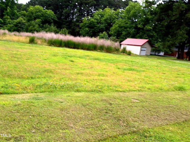 1917 New Hill Olive Chapel Rd, New Hill, NC 27562 - view of green lawn featuring an outdoor structure