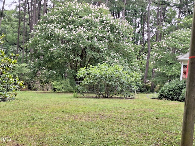 1917 New Hill Olive Chapel Rd, New Hill, NC 27562 - view of grassy yard