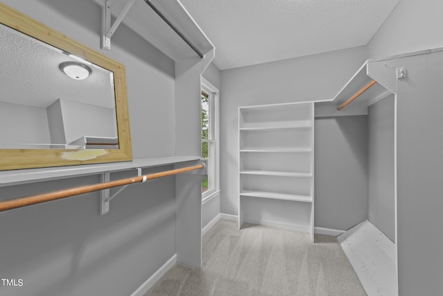 spacious closet with light carpet