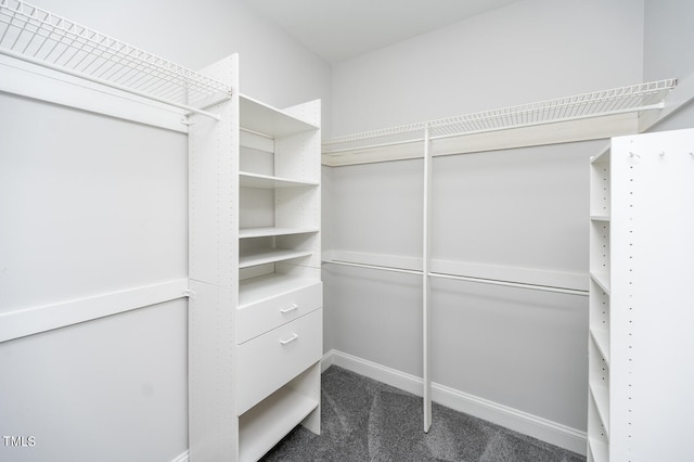 walk in closet with carpet