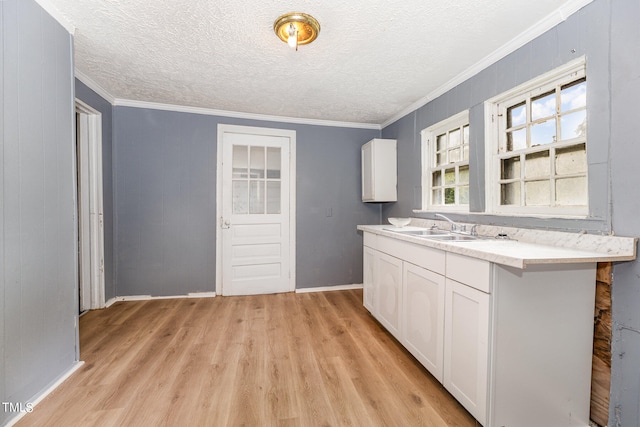 kitchen featuring sink, light hardwood / wood-style flooring, white cabinets, and crown molding