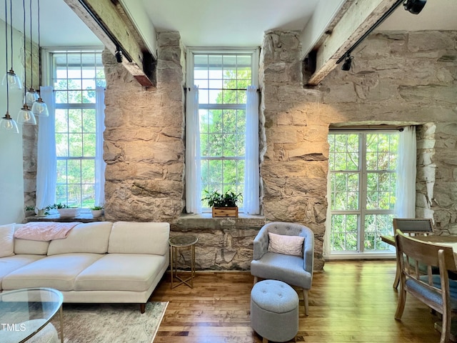 sitting room with wood-type flooring and a wealth of natural light