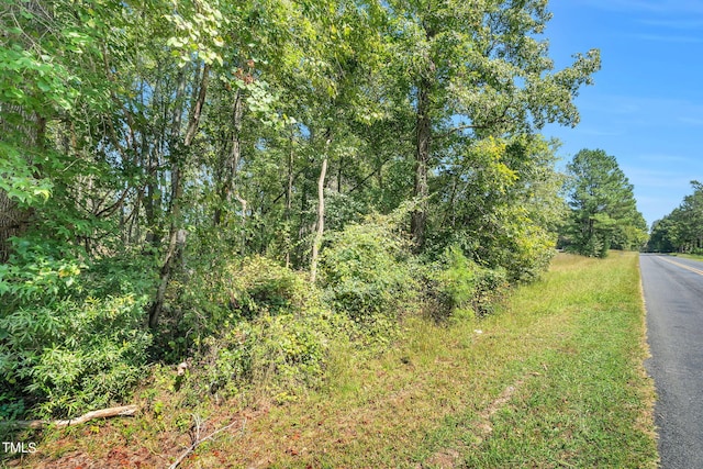 Listing photo 3 for 0 Castle Rock Farm Rd, Pittsboro NC 27312