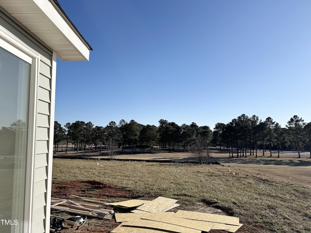 view of yard with a rural view