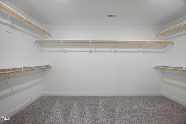 walk in closet featuring visible vents and carpet floors