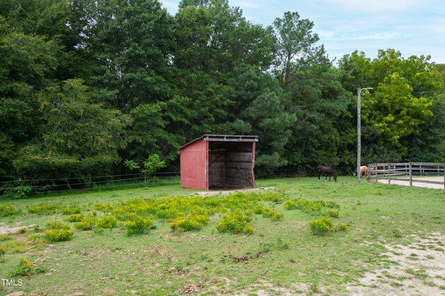 view of yard with a shed