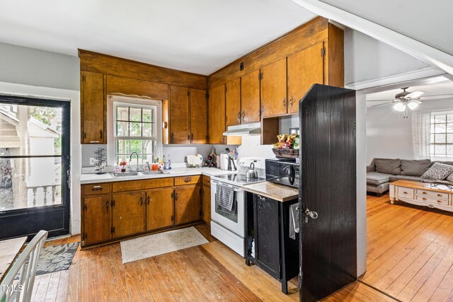 kitchen with light hardwood / wood-style flooring, white electric stove, sink, and ceiling fan