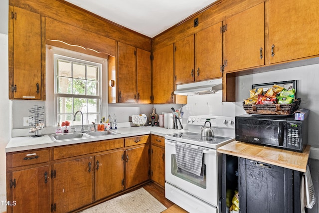 kitchen with light hardwood / wood-style flooring, white electric range oven, and sink