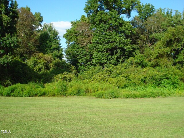 view of local wilderness