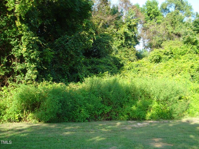 view of local wilderness