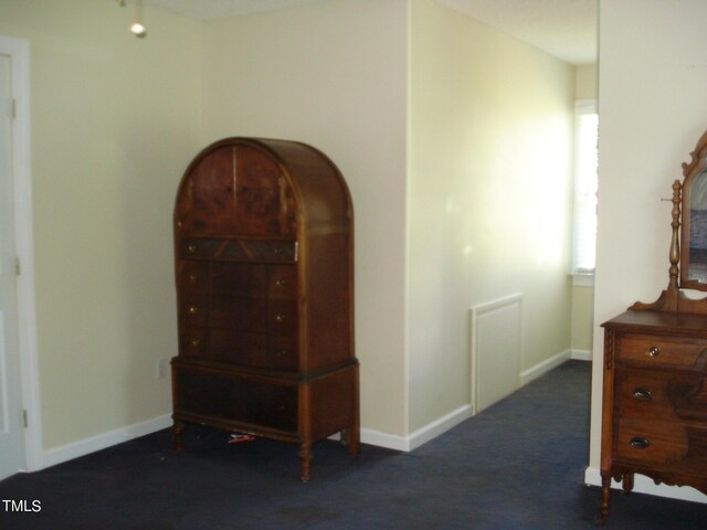 interior space with dark colored carpet