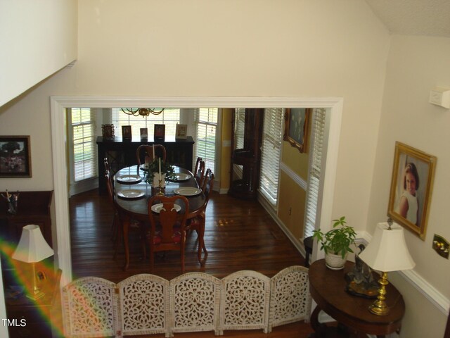 dining room with a healthy amount of sunlight and dark hardwood / wood-style flooring