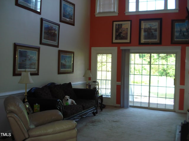 living room featuring a towering ceiling, plenty of natural light, and carpet floors