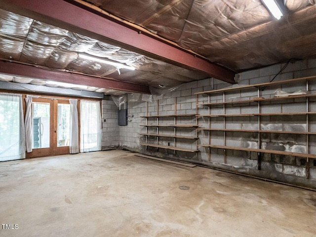 basement with french doors