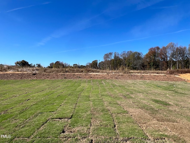 view of yard with a rural view