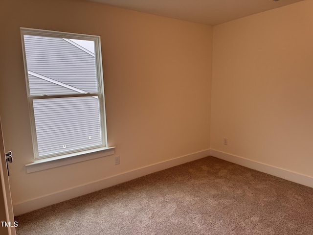 spare room with carpet floors