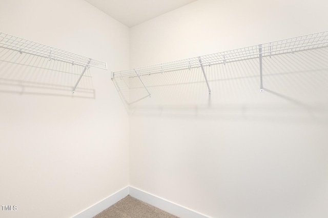 82 Gander Dr, Benson, NC 27504 - spacious closet featuring carpet