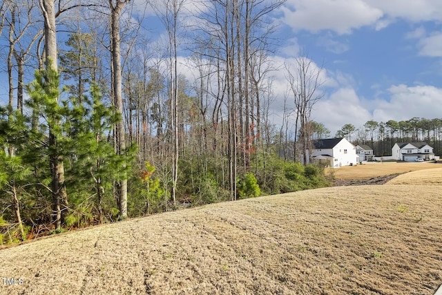 82 Gander Dr, Benson, NC 27504 - view of yard
