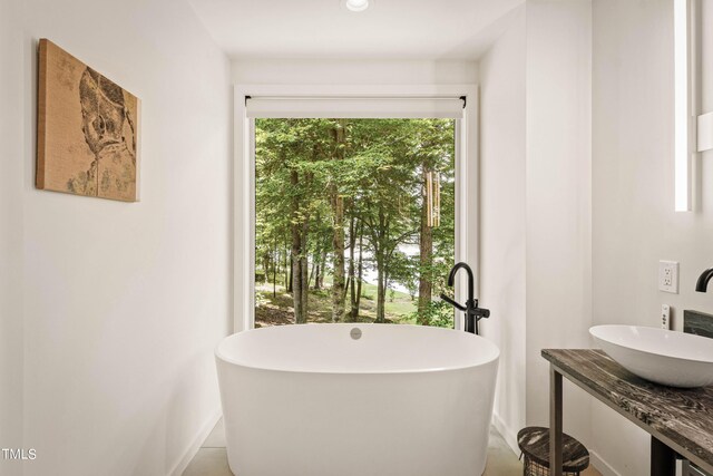 bathroom with vanity and a bathing tub