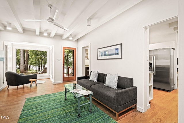 living room with ceiling fan, beam ceiling, and light hardwood / wood-style flooring