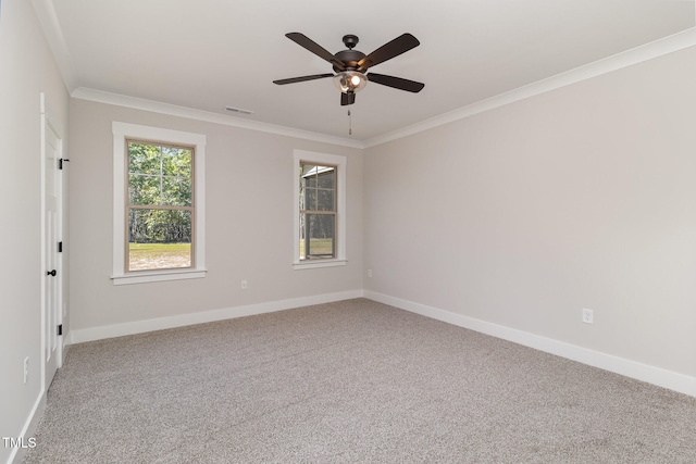 spare room with crown molding, ceiling fan, and carpet flooring