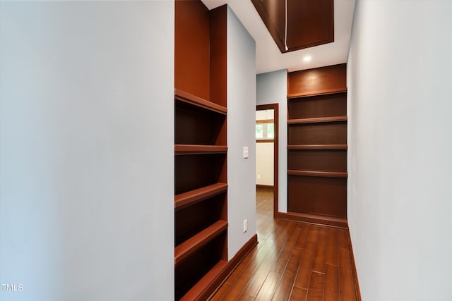 spacious closet featuring dark wood-type flooring