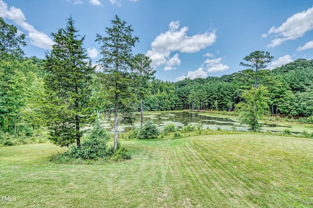 view of yard featuring a water view