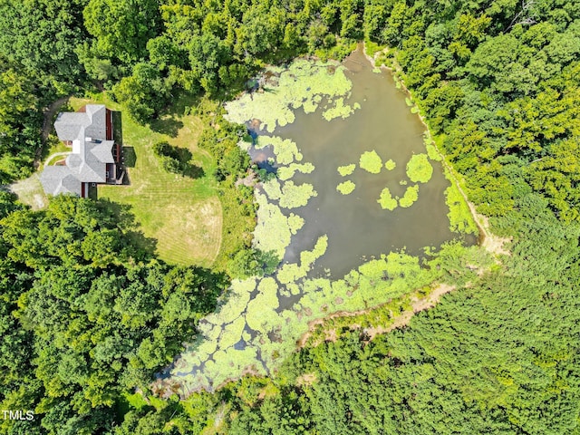 3240 Hillcastle Trl, Chapel Hill, NC 27516 - view of subject property featuring a large body of water