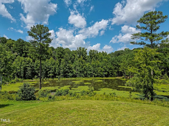 view of local wilderness featuring a water view