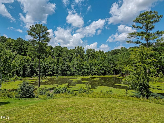 3240 Hillcastle Trl, Chapel Hill, NC 27516 - view of green lawn featuring a water view and a view of trees