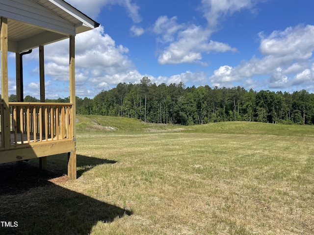 234 Danube Dr, Zebulon, NC 27597 - photo 1