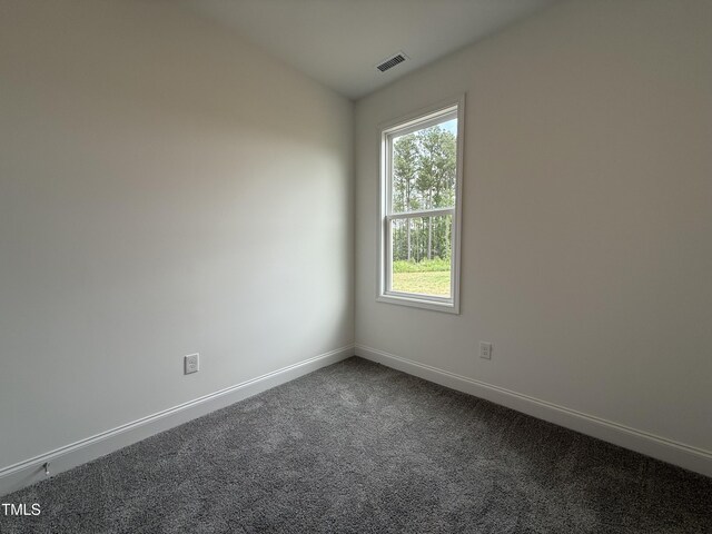 234 Danube Dr, Zebulon, NC 27597 - photo 12