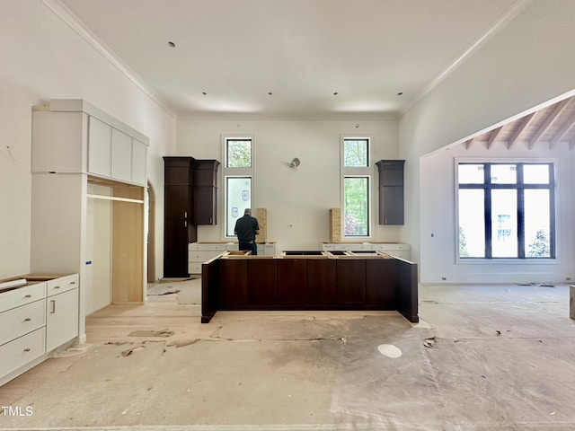 kitchen featuring crown molding and a kitchen island