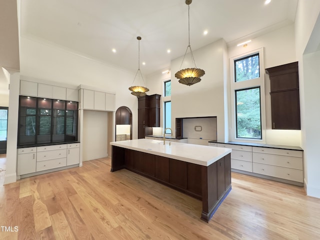 7208 Tanbark Way, Raleigh, NC 27615 - kitchen featuring arched walkways, white cabinets, dark brown cabinetry, a large island, and light wood-style floors